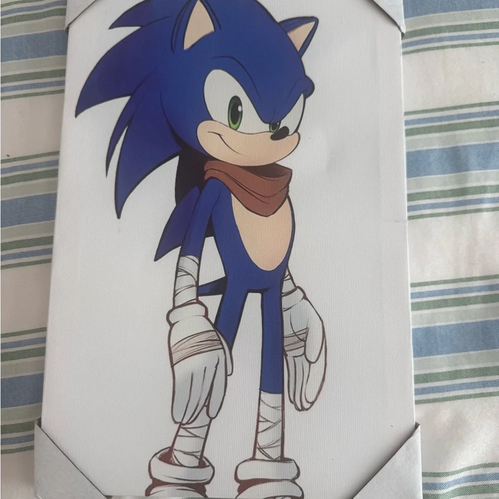 Sonic the Hedgehog Canvas Art